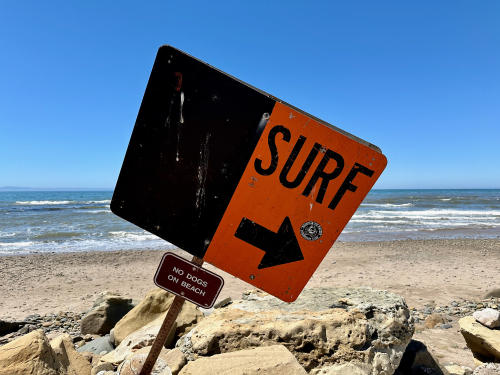 Auto-generated description: A weathered sign with the word SURF and an arrow points towards the ocean, while a smaller sign below reads NO DOGS ON BEACH on a rocky seashore.