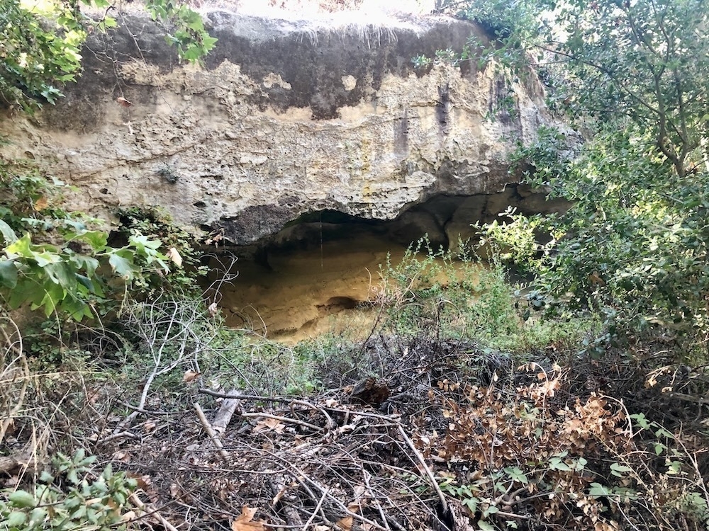 Auto-generated description: A small cave entrance surrounded by dense vegetation and rocky terrain.