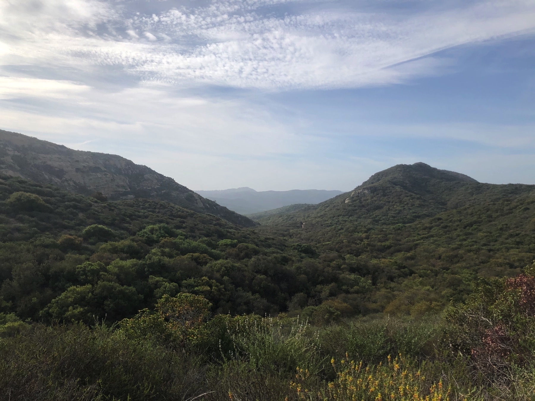 view of the Laguna mountains