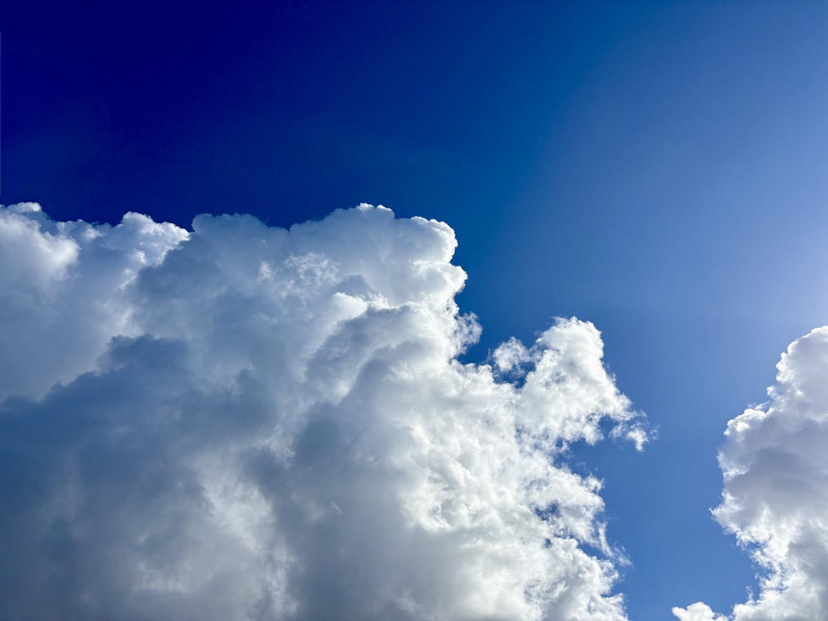 Fluffy clouds against a deep blue sky after morning showers have passed.