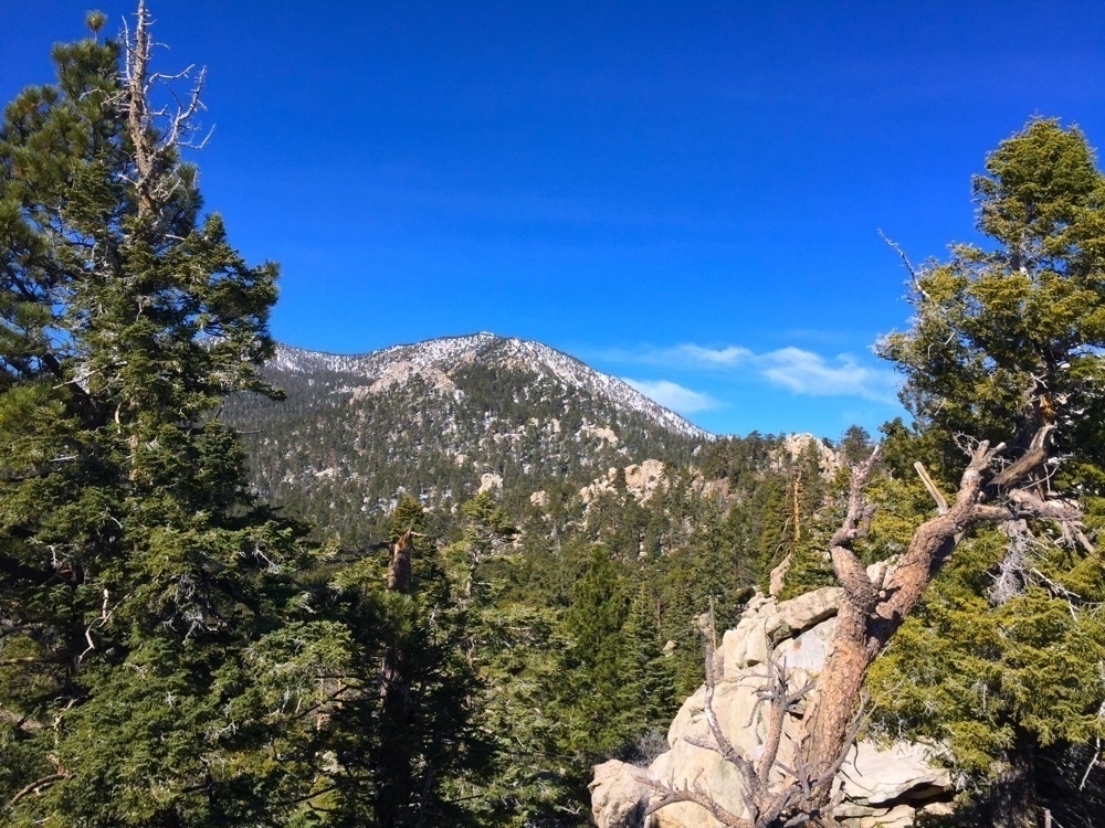 A mountain summit far off in the distance with forest trees in the foreground.