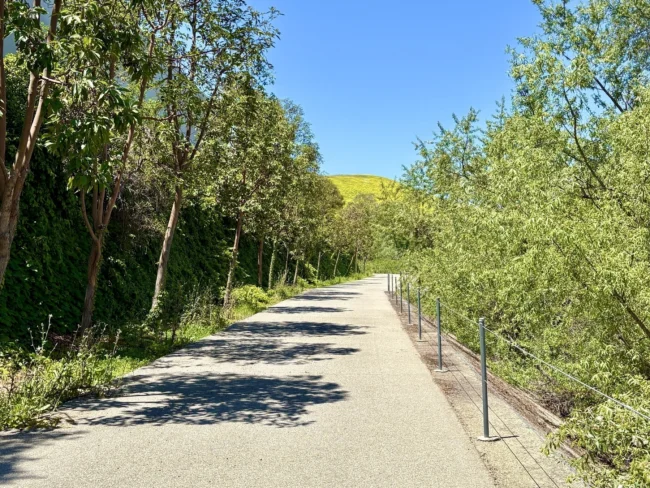 Auto-generated description: A paved pathway is surrounded by lush green trees under a clear blue sky.